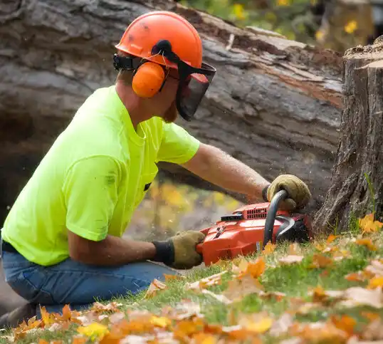 tree services Artemus